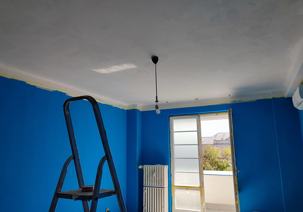 Professional painter
